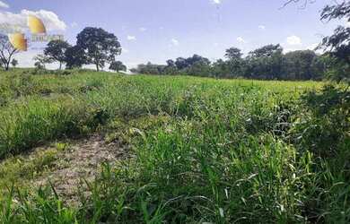 Imagem 16: Fazenda 65km de Cuiabá à venda, 4750000 m² por R$ 3.000.000 - Zona Rural - Nossa Senhora