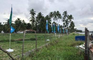 Imagem 7: Apartamento Próx a Igrejinha na Praia dos Carneiros