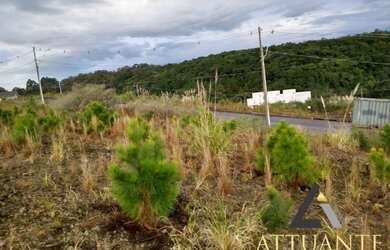 Imagem: O terreno possui 300m² de Área e está localizado em São