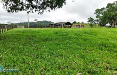 Imagem: Fazenda 198 alqueires Região de Cacaulândia
