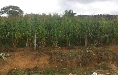 Imagem: O terreno possui 800m² de Área e está localizado em Centro