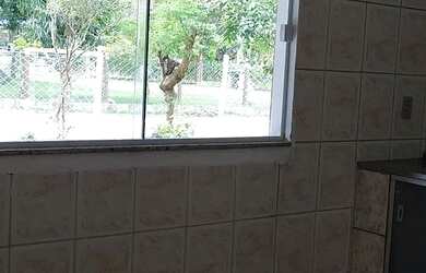 Imagem: A fazenda possui 1.000m² de Área e está localizado em Praia