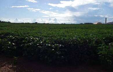 Imagem 5: Fazenda na região de Campo Verde à venda, 330000 m² por R$ 5.172.750...