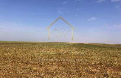 Imagem 11: Vendo ótima fazenda entre Nova Mutum e Campo Novo do Parecis