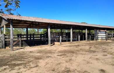 Imagem: A fazenda possui 15.000.000m² de Área e está localizado