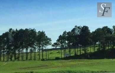 Imagem 2: Área, 10900 m² - venda por R$ 3.900.000 ou aluguel por R$ 9.500/mês...