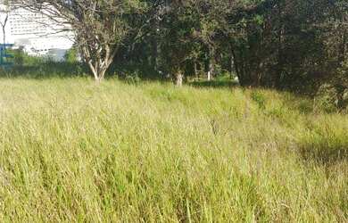 Imagem 13: terreno sao felipe. 1.700.000m² de Área