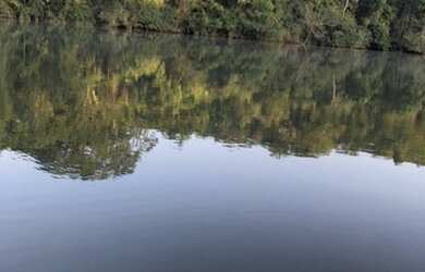 Imagem 2: Área no Manso. 550.000m² de Área