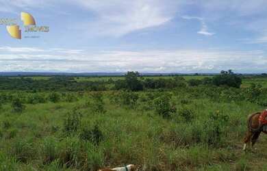 Imagem 13: Fazenda á 14km de Rosário à venda, 3200000 m² por R$ 5.500.000 - Zona...