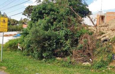 Imagem 14: Terreno à venda, 377 m² por R$ 160.000,00 - Jardim São Pedro - Quatro...