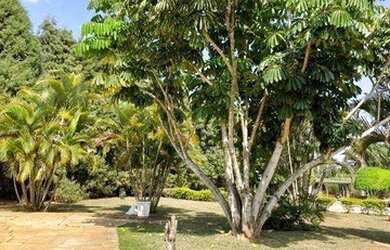 Imagem 3: Casa em ótima localização !