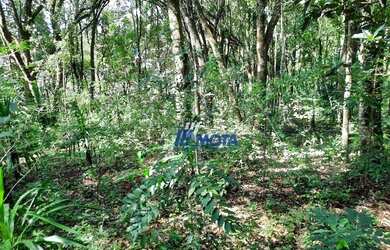 Imagem 10: Área Urbana 6.030m2 Almirante Tamandaré