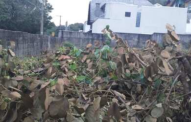 Imagem 8: Terreno à venda, 524 m² por R$ 800.000,00 - City América - São Paulo/SP
