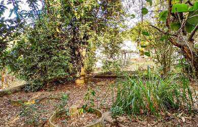 Imagem 3: Terreno condominio fechado