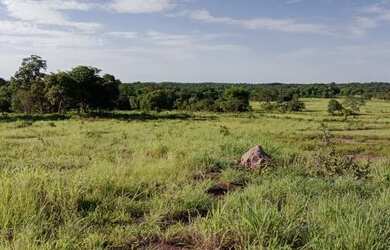 Imagem: A fazenda está localizado em Nossa Senhora do Livramento, MT