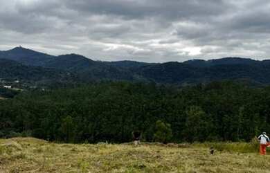 Imagem 4: Lote/Terreno para venda com 1000 metros quadrados em Jardim Recreio -...