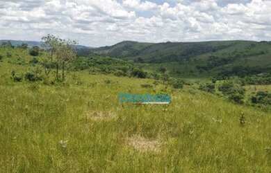 Imagem 15: Fazenda a venda - área real