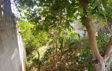 Imagem 2: Terreno à venda, 360 m² por R$ 200.000,00 - São Conrado - Brumadinho/MG