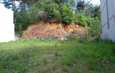 Imagem 2: Terreno em Nossa Senhora da Saúde - Caxias do Sul