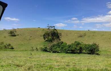 Imagem 6: 1875 Maravilhosa Fazenda De 200 Ha Com Lindo Casarão Antigo E Ótima...