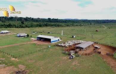 Imagem 2: Fazenda à venda, m² por R$ 150.000.000,00 - Zona Rural - Colider/MT