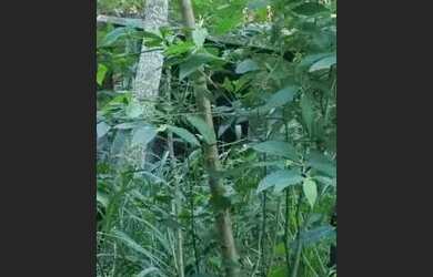 Imagem: O terreno possui 270m² de Área e está localizado em Barra