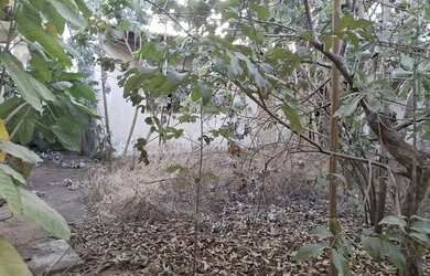 Imagem 11: Para investidores casa reformada vale 500 mil no ipase por 230 tem reformar