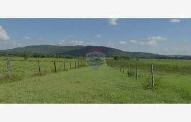 Imagem 11: Fazenda a venda com 86 hectares em Unaí, Minas Gerais