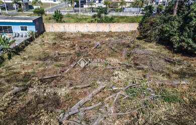 Imagem 6: terrreno de mil metros quadrados no Rio Vermelho