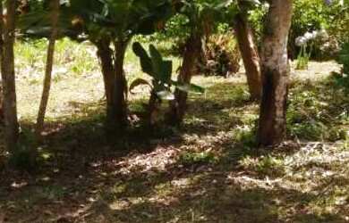 Imagem 14: Chacara paraiso apenas 147 mil reais