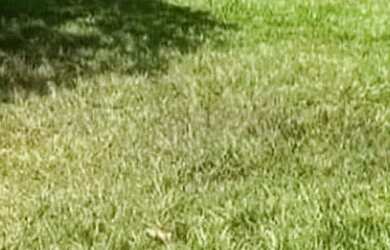 Imagem: O terreno possui 566m² de Área e está localizado em Jardim