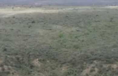 Imagem 12: Fazenda com 122 hectares de Caatinga