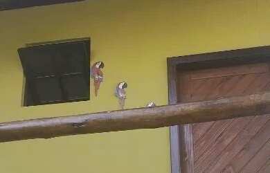 Imagem 4: Últim chalé disponível tudo incluso 3 portaria Vilas do Atlântico...