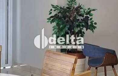 Imagem: A fazenda possui 300m² de Área e está localizado em Mansões