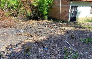 Imagem 10: VENDO TERRENO EM PANAQUATIRA