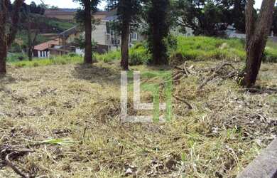 Imagem 3: Terreno Jd. Paulista Venda