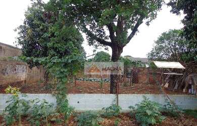 Imagem 6: Casa residencial à venda, Ipiranga, Ribeirão Preto