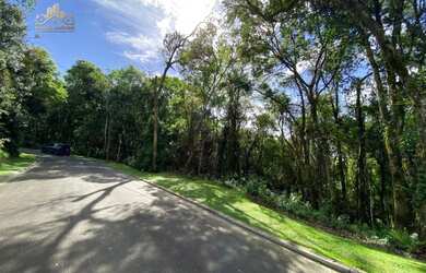 Imagem 5: Terreno à venda, 800 m² por R$ 650.000,00 - Vila Suíça - Gramado/RS