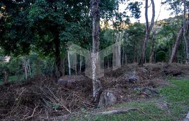Imagem: O terreno possui 8744m² de Área e está localizado em Pedro