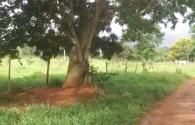 Imagem 13: Área para Venda em Senador Canedo, Chácara Santa Luzia