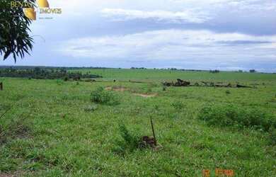 Imagem 10: Fazenda à venda, 8645 HECTARES por R$ 86.500.000 - Zona Rural - Tangará...