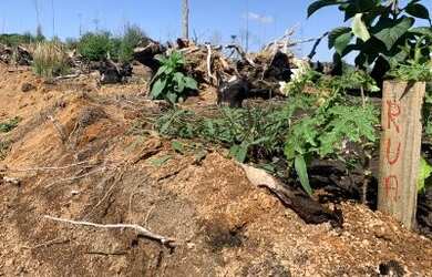 Imagem 5: Terreno em Nazaré Paulista