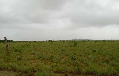 Imagem: A fazenda possui 76500m² de Área e está localizado em Paraviana