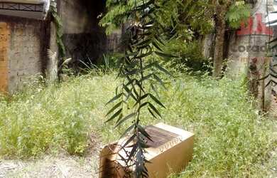 Imagem 2: Terreno residencial à venda, Antônio Zanaga II, Americana