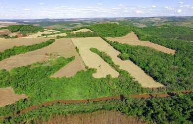 Imagem 4: Vendo - Distrito Paiquere - Sítio Taquara - Paiquere - Londrina - Paraná
