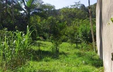 Imagem 6: Terreno - Rua Bruno Schreiber Totalmente Plano Área de 3.038m²