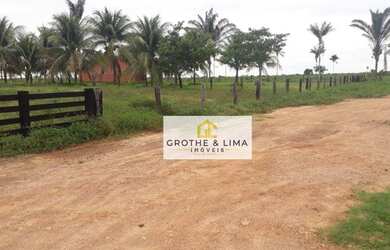 Imagem 10: Fazenda à venda, 505 Alqueirão por R$ 50.500.000 - Araguaína/TO