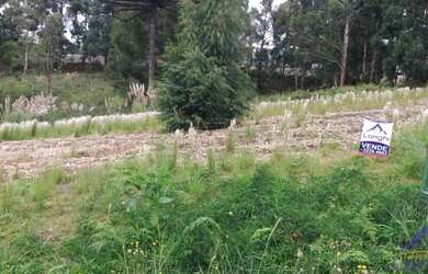 Imagem: O terreno está localizado em São Ciro, Caxias do Sul à venda