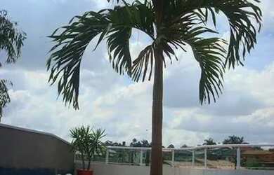 Imagem: A casa em condomínio possui 4 Dormitórios, 5 Banheiros, 5