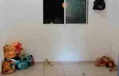 Imagem 2: Alugo apartamento. Área de serviço, 2 Banheirose2 Dormitórios